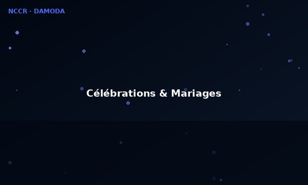 Spectacle de drones pour mariages et célébrations